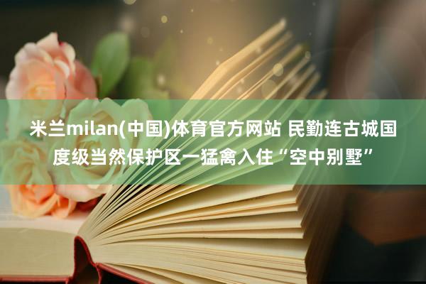 米兰milan(中国)体育官方网站 民勤连古城国度级当然保护区一猛禽入住“空中别墅”