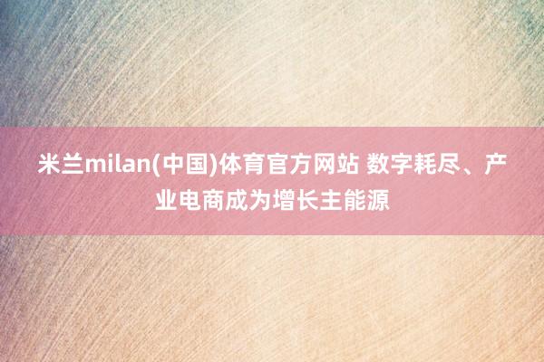 米兰milan(中国)体育官方网站 数字耗尽、产业电商成为增长主能源