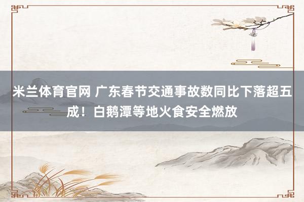 米兰体育官网 广东春节交通事故数同比下落超五成！白鹅潭等地火食安全燃放