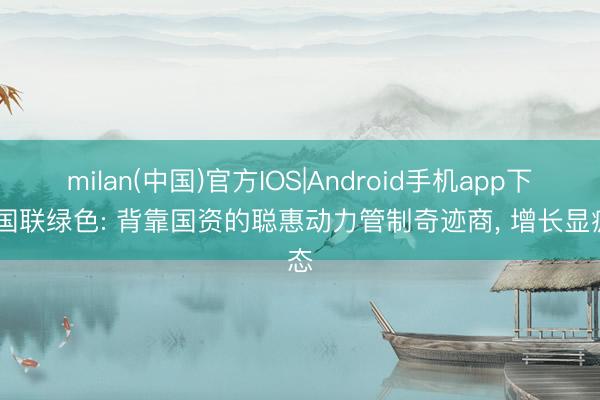 milan(中国)官方IOS|Android手机app下载 国联绿色: 背靠国资的聪惠动力管制奇迹商, 增长显疲态