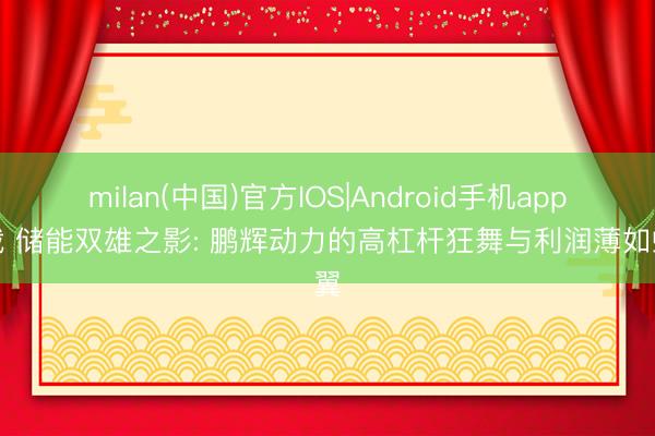 milan(中国)官方IOS|Android手机app下载 储能双雄之影: 鹏辉动力的高杠杆狂舞与利润薄如蝉翼