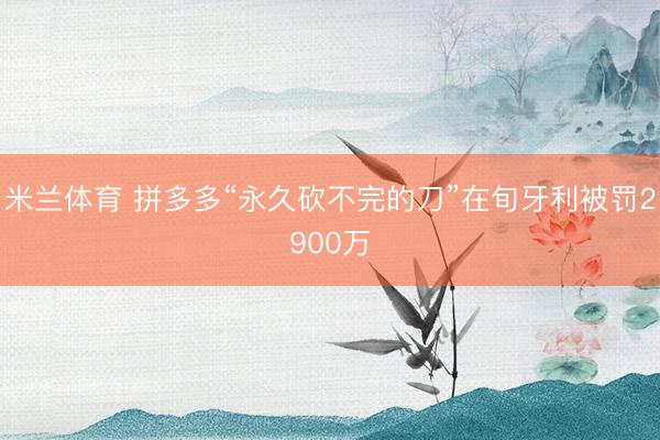 米兰体育 拼多多“永久砍不完的刀”在旬牙利被罚2900万