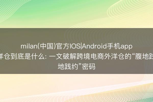 milan(中国)官方IOS|Android手机app下载 外洋仓到底是什么: 一文破解跨境电商外洋仓的“腹地践约”密码