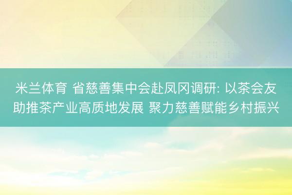 米兰体育 省慈善集中会赴凤冈调研: 以茶会友助推茶产业高质地发展 聚力慈善赋能乡村振兴