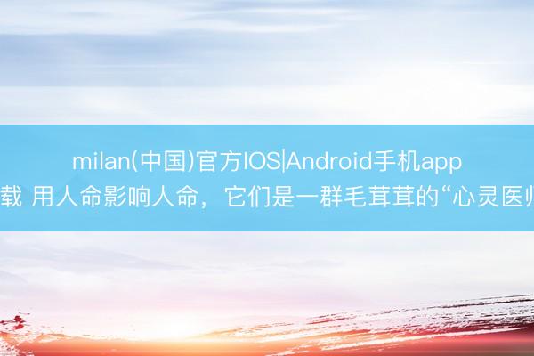 milan(中国)官方IOS|Android手机app下载 用人命影响人命,它们是一群毛茸茸的“心灵医师”