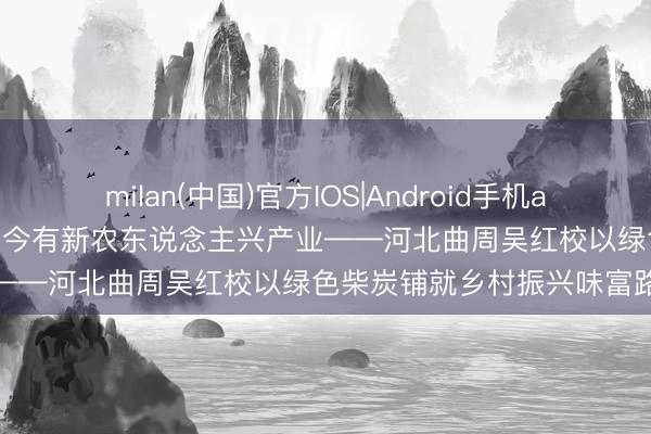 milan(中国)官方IOS|Android手机app下载 古有卖炭翁苦过活 今有新农东说念主兴产业——河北曲周吴红校以绿色柴炭铺就乡村振兴味富路