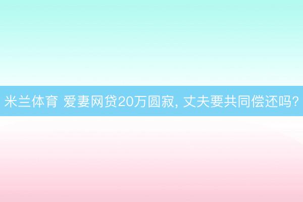 米兰体育 爱妻网贷20万圆寂， 丈夫要共同偿还吗?