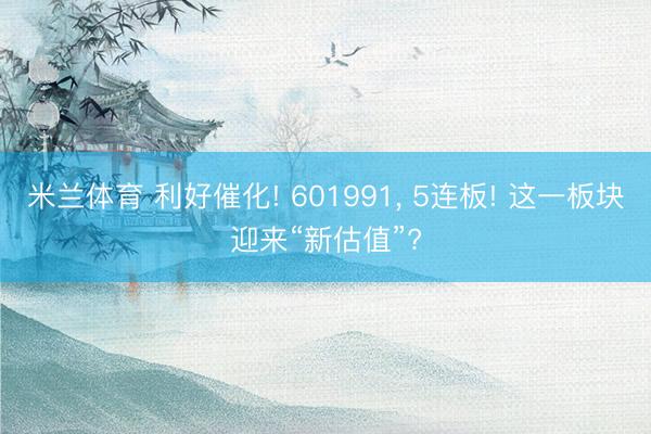 米兰体育 利好催化! 601991, 5连板! 这一板块迎来“新估值”?
