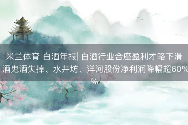 米兰体育 白酒年报| 白酒行业合座盈利才略下滑 酒鬼酒失掉、水井坊、洋河股份净利润降幅超60%