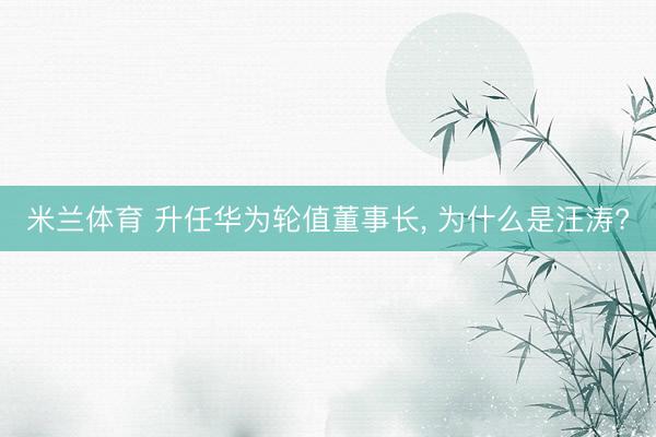 米兰体育 升任华为轮值董事长， 为什么是汪涛?