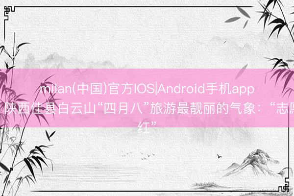 milan(中国)官方IOS|Android手机app下载 陕西佳县白云山“四月八”旅游最靓丽的气象：“志愿红”
