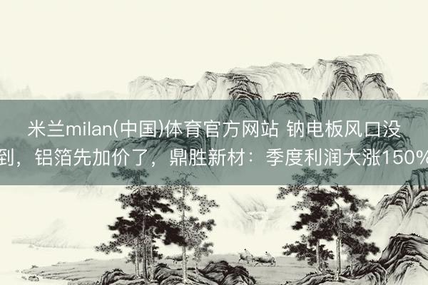 米兰milan(中国)体育官方网站 钠电板风口没到，铝箔先加价了，鼎胜新材：季度利润大涨150%