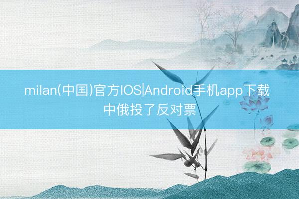 milan(中国)官方IOS|Android手机app下载 中俄投了反对票