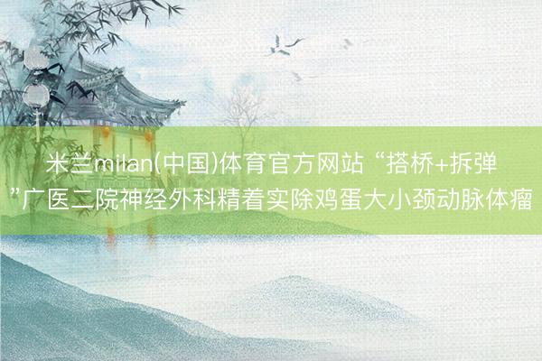 米兰milan(中国)体育官方网站 “搭桥+拆弹”广医二院神经外科精着实除鸡蛋大小颈动脉体瘤