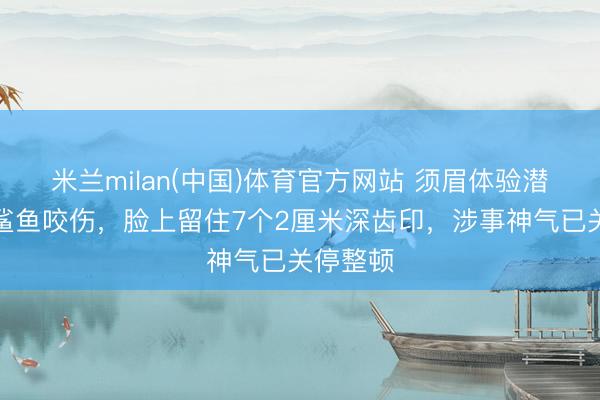 米兰milan(中国)体育官方网站 须眉体验潜水时被鲨鱼咬伤，脸上留住7个2厘米深齿印，涉事神气已关停整顿