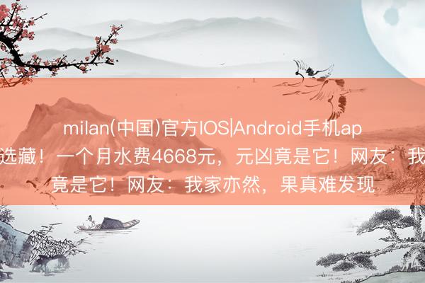 milan(中国)官方IOS|Android手机app下载 上海东说念主选藏！一个月水费4668元，元凶竟是它！网友：我家亦然，果真难发现