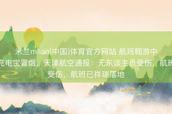 米兰milan(中国)体育官方网站 航班翱游中搭客佩带的充电宝冒烟，天津航空通报：无东谈主员受伤，航班已祥瑞落地