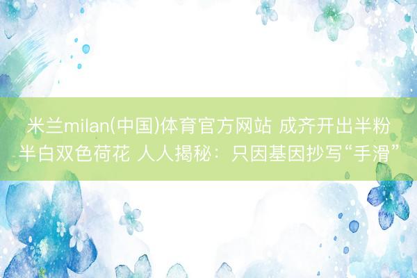 米兰milan(中国)体育官方网站 成齐开出半粉半白双色荷花 人人揭秘:只因基因抄写“手滑”